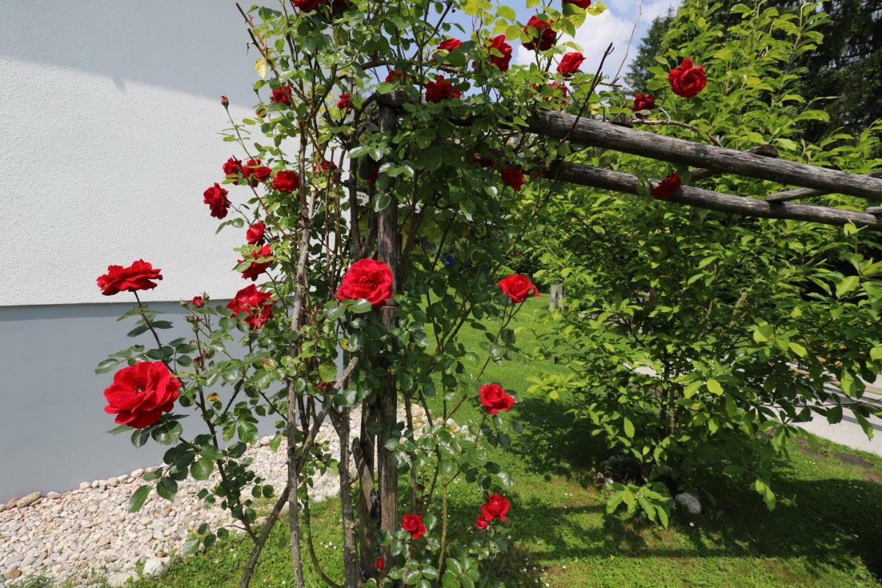 Adventure Cottage With Pool And Big Garden Блед Экстерьер фото
